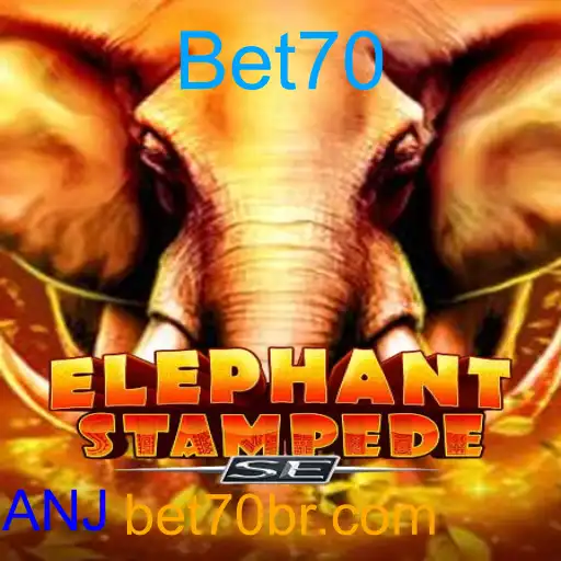 ElephantStampedeSE